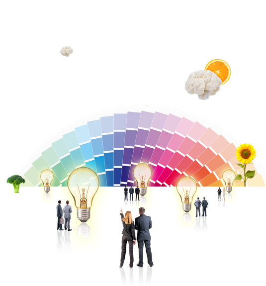 The Adviser <br> Intelligence Network