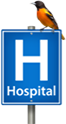 Hospital choices